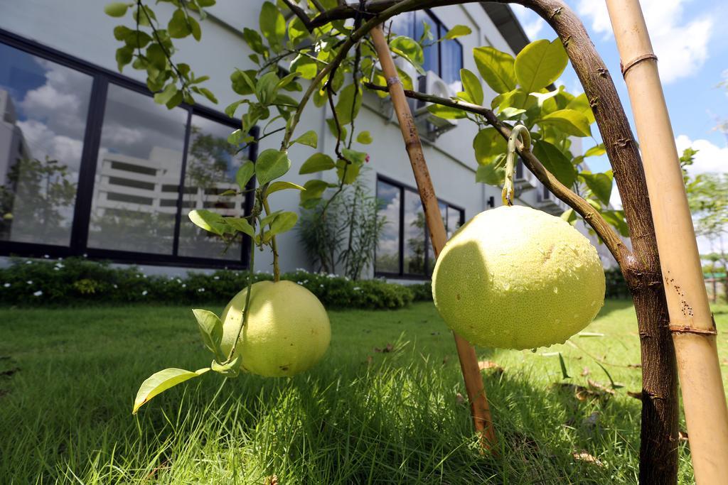 S Ratchada Leisure Hotel - Sha Plus Bangkok Exteriér fotografie Citrus ×sinensis